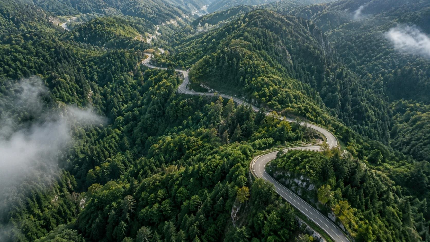 森林山路的航拍画面